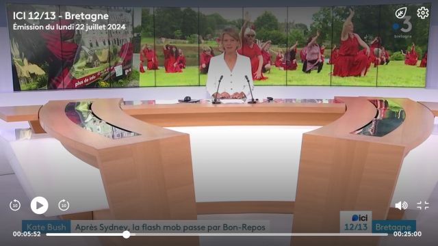 France 3