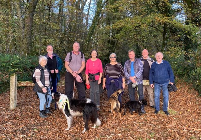 1000044857 1 (Large)