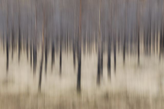 13 (Large)